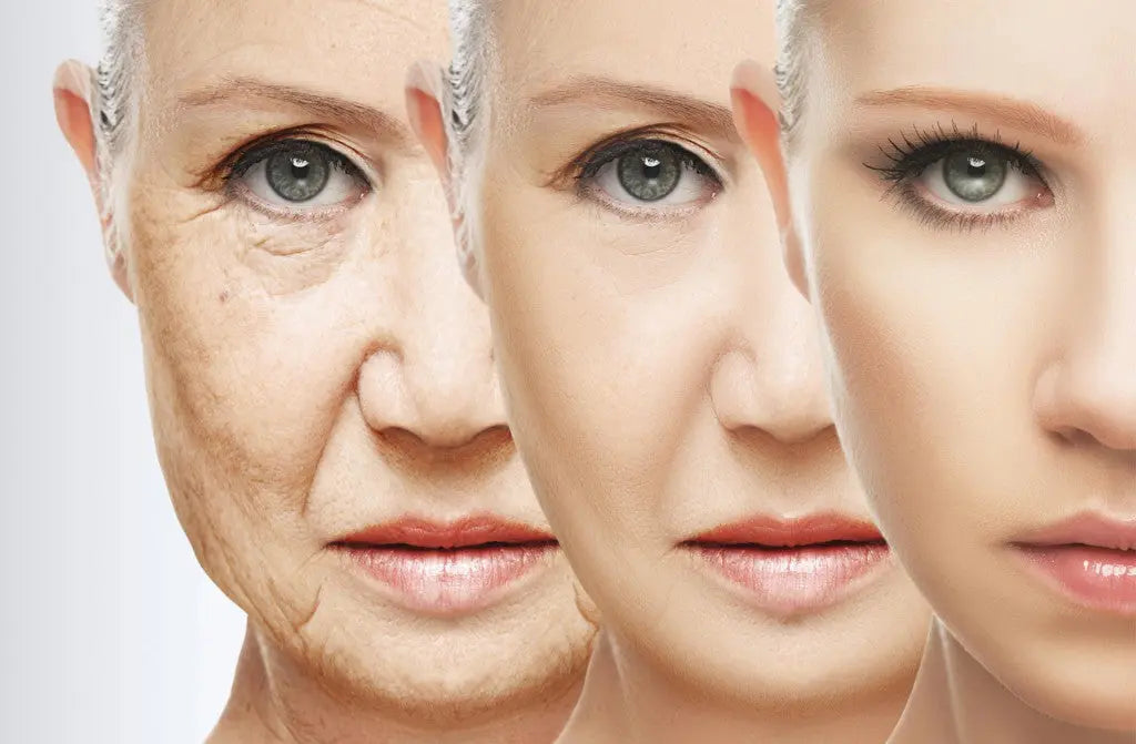 EMS for Hands: Reversing Aging Signs with At-Home Solutions - EVENSKYN® EMS for Hands: Reversing Aging Signs with At-Home Solutions - EVENSKYN®