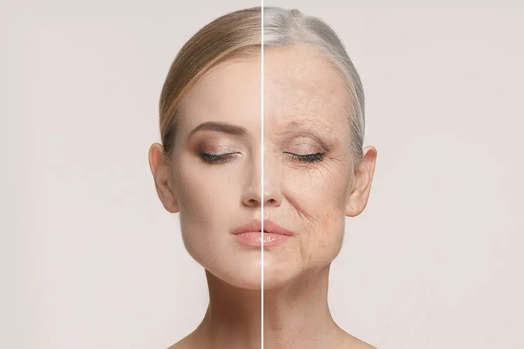 Reverse Wrinkles at Home: The Most Affordable Anti-Aging Techniques - EVENSKYN®