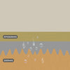 Venus - Animation 1